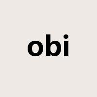 obi是什么意思
