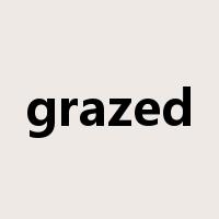 grazed是什么意思