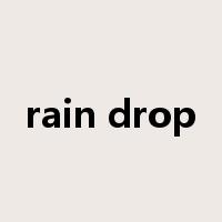 rain drop是什么意思