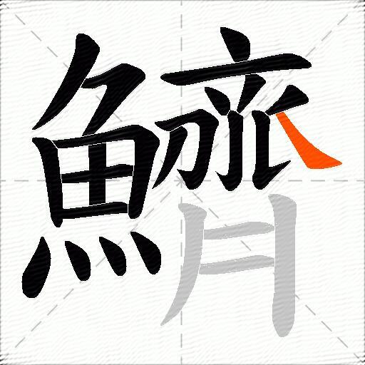 鱭