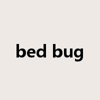 bed bug是什么意思