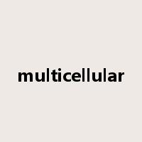 multicellular是什么意思