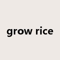 grow rice是什么意思