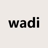 wadi是什么意思