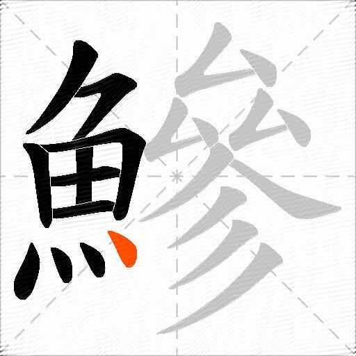 鰺