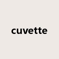 cuvette是什么意思