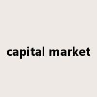 capital market是什么意思