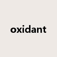 oxidant是什么意思