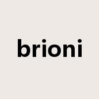 brioni是什么意思