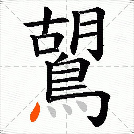 鶦