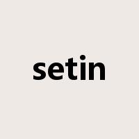 setin是什么意思