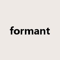 formant是什么意思