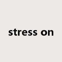 stress on是什么意思