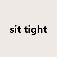 sit tight是什么意思
