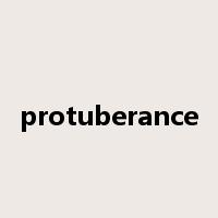 protuberance是什么意思