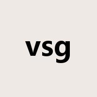 vsg是什么意思