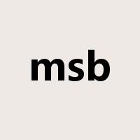 msb是什么意思