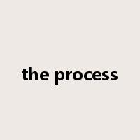the process是什么意思