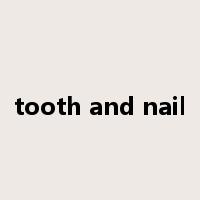 tooth and nail是什么意思