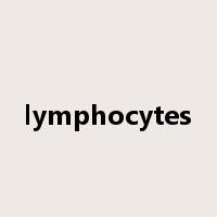 lymphocytes是什么意思
