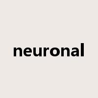 neuronal是什么意思