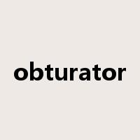 obturator是什么意思