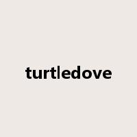 turtledove是什么意思