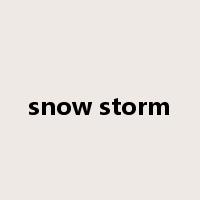 snow storm是什么意思