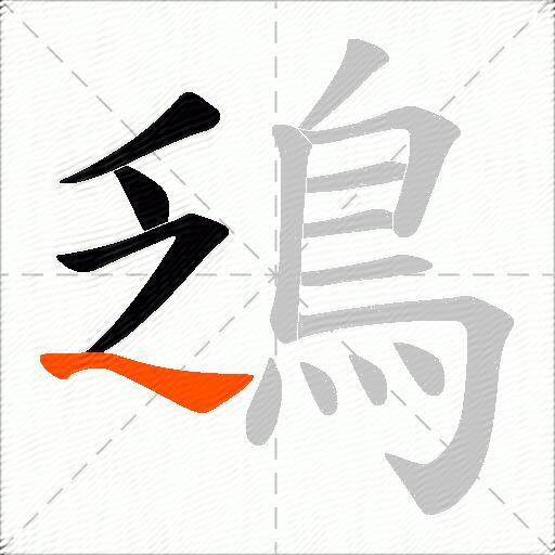 鴔