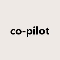 co-pilot是什么意思