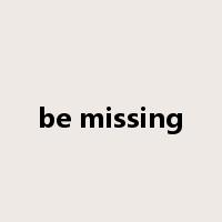 be missing是什么意思
