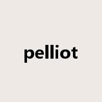 pelliot是什么意思