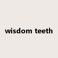 wisdom teeth是什么意思