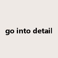 go into detail是什么意思