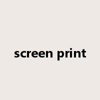 screen print是什么意思