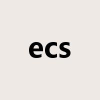 ecs是什么意思