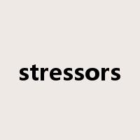 stressors是什么意思