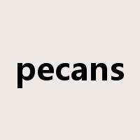 pecans是什么意思