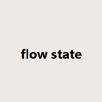 flow state是什么意思