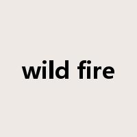 wild fire是什么意思