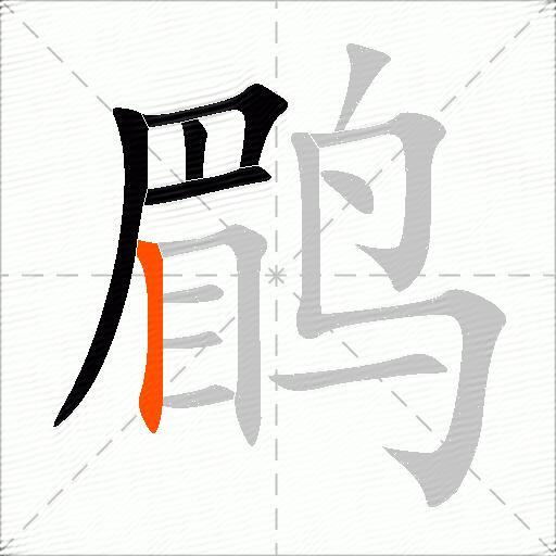 鹛