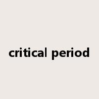 critical period是什么意思