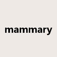 mammary是什么意思
