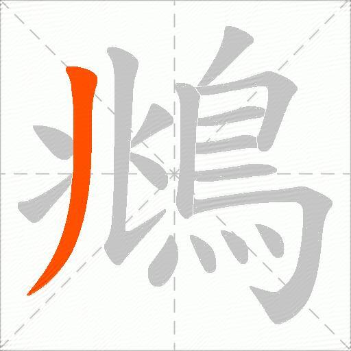 鴵