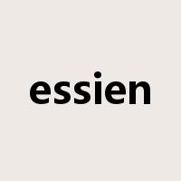 essien是什么意思