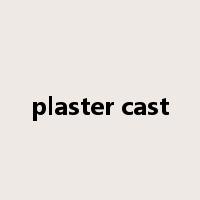 plaster cast是什么意思
