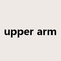 upper arm是什么意思