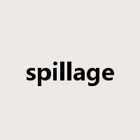 spillage是什么意思