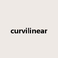 curvilinear是什么意思
