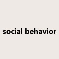 social behavior是什么意思